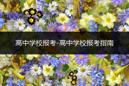高中学校报考-高中学校报考指南