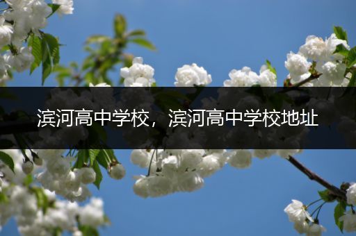 滨河高中学校，滨河高中学校地址