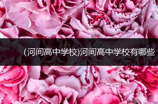 （河间高中学校)河间高中学校有哪些