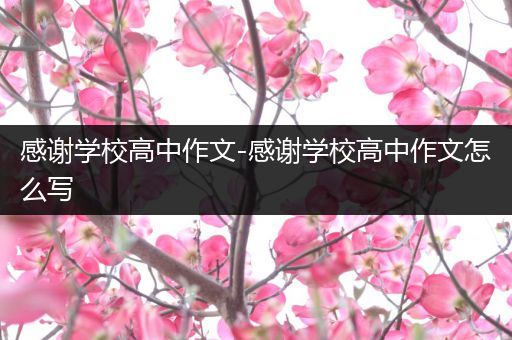 感谢学校高中作文-感谢学校高中作文怎么写