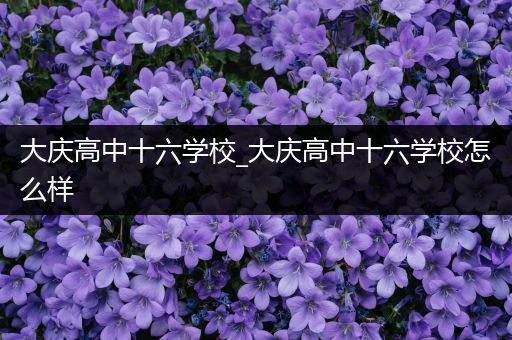 大庆高中十六学校_大庆高中十六学校怎么样