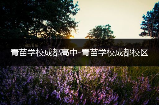 青苗学校成都高中-青苗学校成都校区