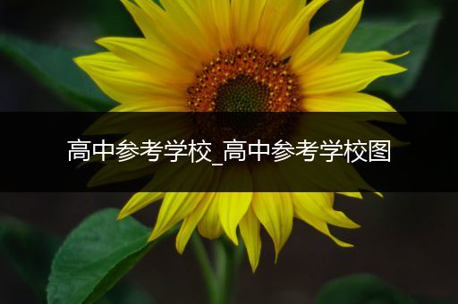 高中参考学校_高中参考学校图