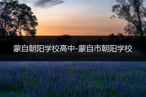 蒙自朝阳学校高中-蒙自市朝阳学校