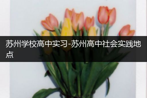 苏州学校高中实习-苏州高中社会实践地点