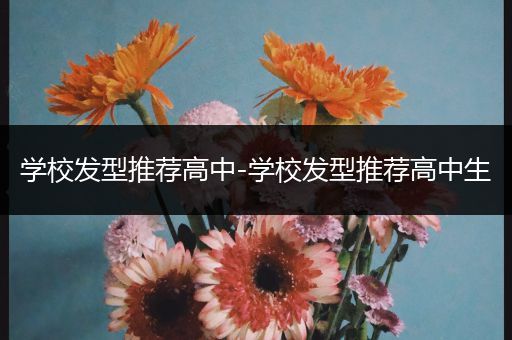 学校发型推荐高中-学校发型推荐高中生