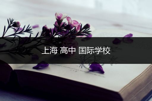 上海 高中 国际学校