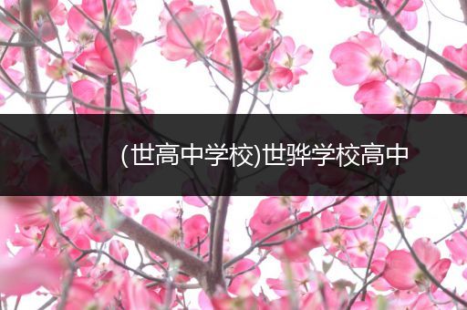 （世高中学校)世骅学校高中