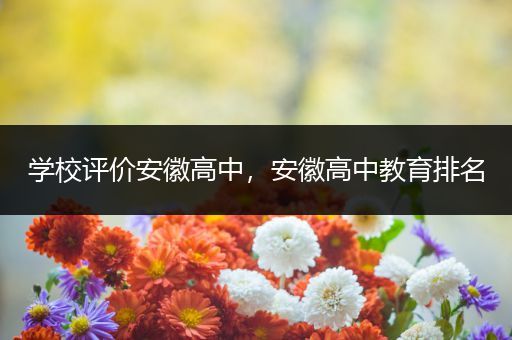 学校评价安徽高中，安徽高中教育排名