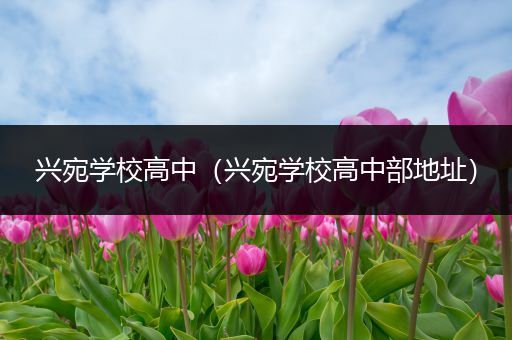 兴宛学校高中（兴宛学校高中部地址）