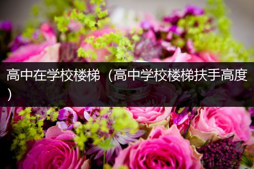 高中在学校楼梯（高中学校楼梯扶手高度）