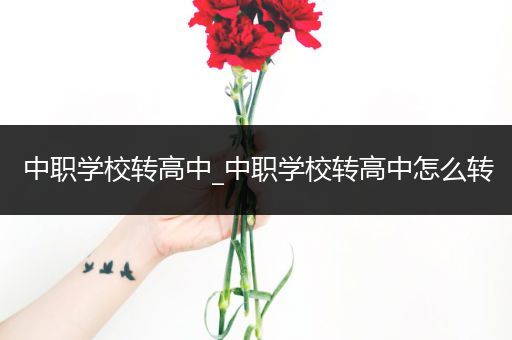 中职学校转高中_中职学校转高中怎么转