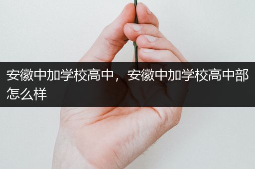 安徽中加学校高中，安徽中加学校高中部怎么样