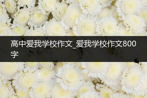 高中爱我学校作文_爱我学校作文800字