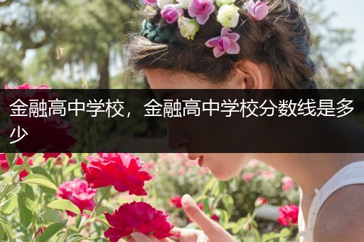 金融高中学校，金融高中学校分数线是多少
