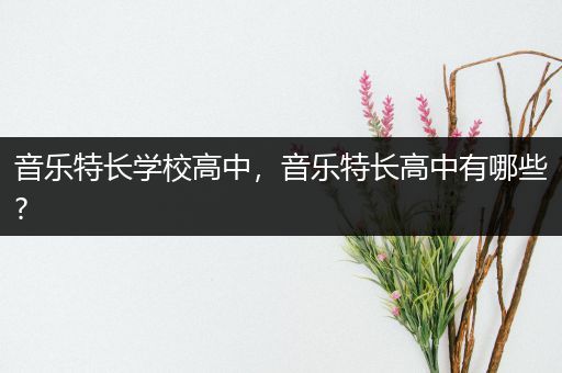 音乐特长学校高中，音乐特长高中有哪些?