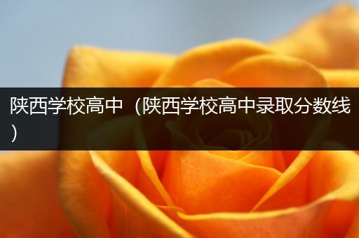 陕西学校高中（陕西学校高中录取分数线）
