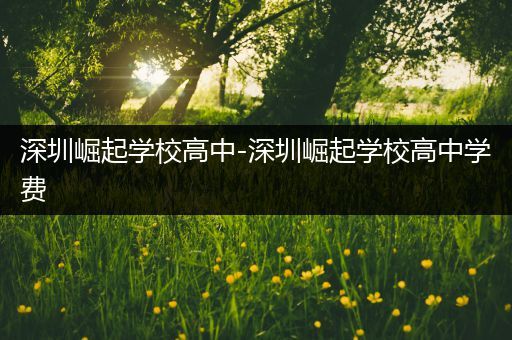 深圳崛起学校高中-深圳崛起学校高中学费