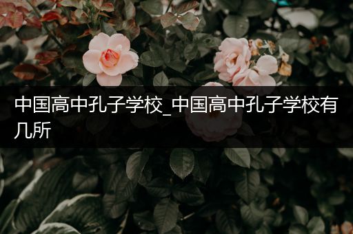 中国高中孔子学校_中国高中孔子学校有几所