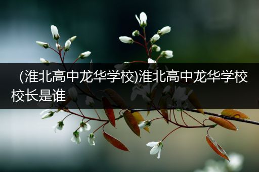 （淮北高中龙华学校)淮北高中龙华学校校长是谁