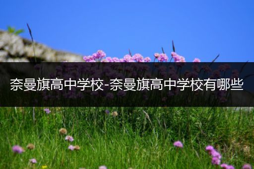 奈曼旗高中学校-奈曼旗高中学校有哪些
