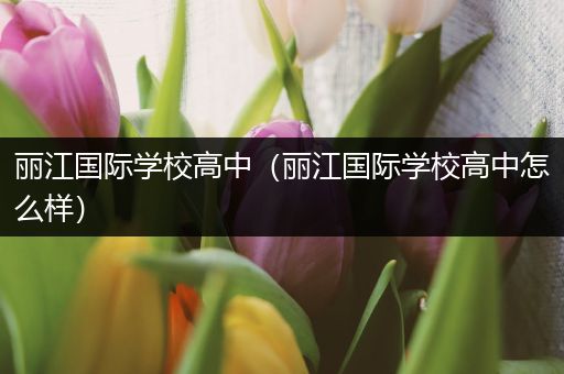 丽江国际学校高中（丽江国际学校高中怎么样）