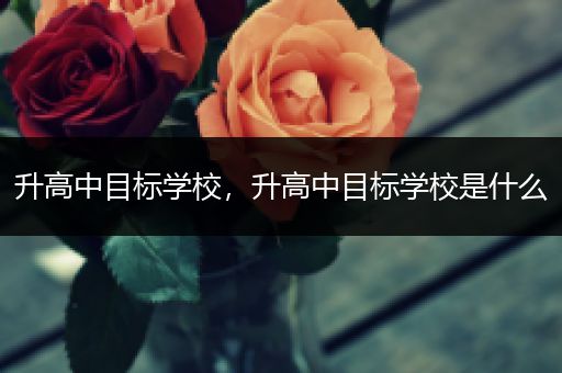 升高中目标学校，升高中目标学校是什么
