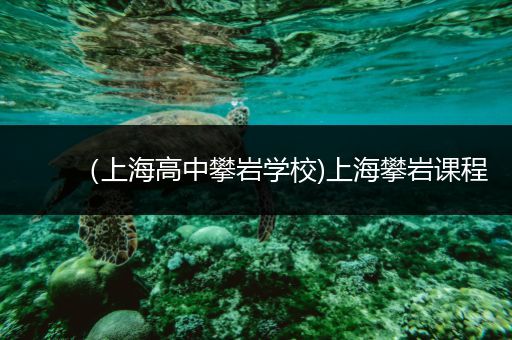 （上海高中攀岩学校)上海攀岩课程