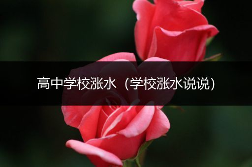 高中学校涨水（学校涨水说说）
