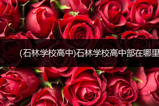 （石林学校高中)石林学校高中部在哪里