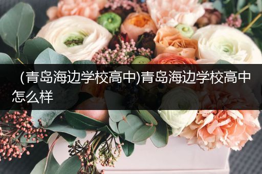 （青岛海边学校高中)青岛海边学校高中怎么样
