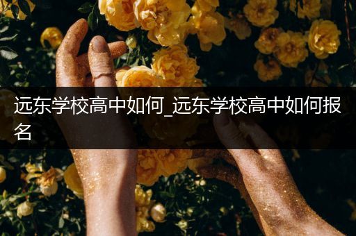 远东学校高中如何_远东学校高中如何报名