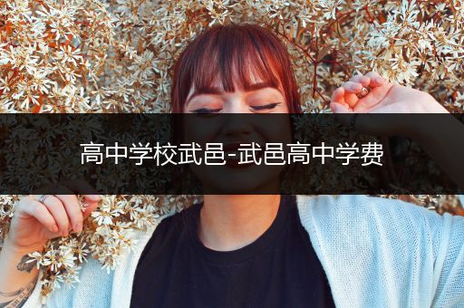 高中学校武邑-武邑高中学费