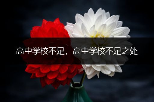 高中学校不足，高中学校不足之处