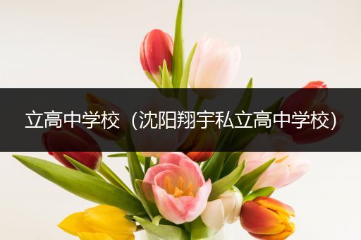 立高中学校（沈阳翔宇私立高中学校）