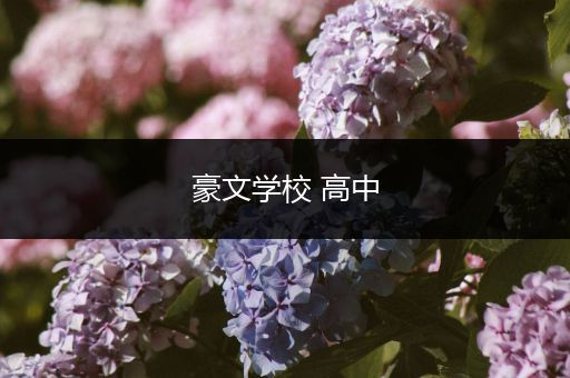 豪文学校 高中