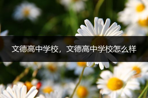 文德高中学校，文德高中学校怎么样