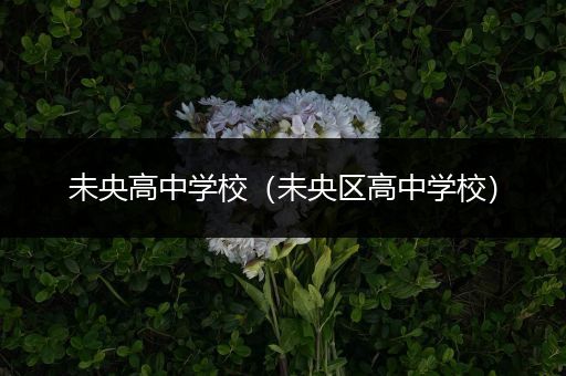 未央高中学校（未央区高中学校）