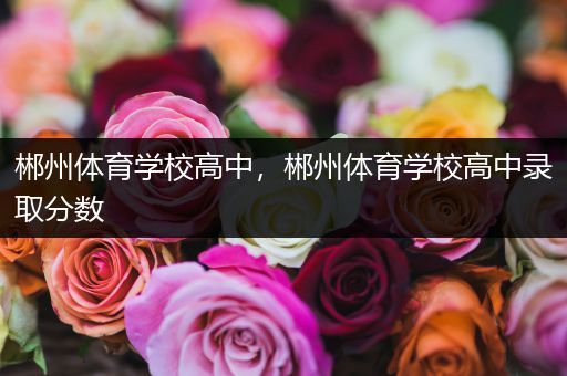 郴州体育学校高中，郴州体育学校高中录取分数