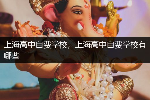 上海高中自费学校，上海高中自费学校有哪些