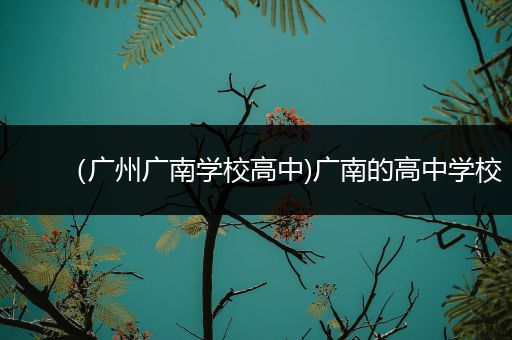 （广州广南学校高中)广南的高中学校