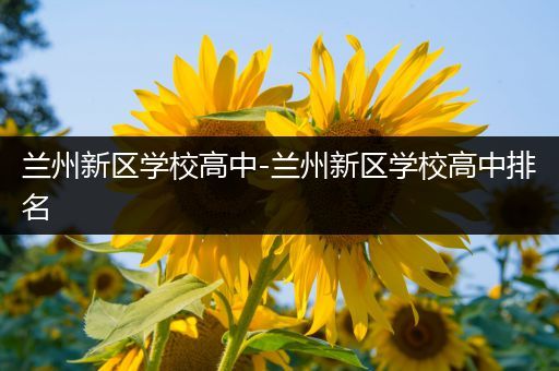 兰州新区学校高中-兰州新区学校高中排名