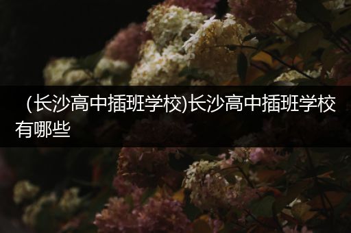 （长沙高中插班学校)长沙高中插班学校有哪些