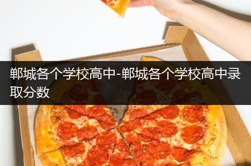 郸城各个学校高中-郸城各个学校高中录取分数