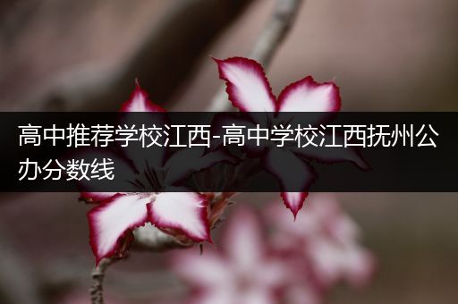 高中推荐学校江西-高中学校江西抚州公办分数线