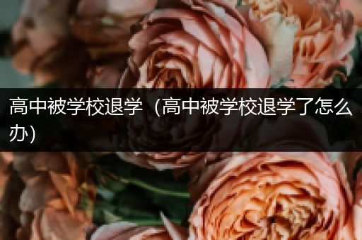 高中被学校退学（高中被学校退学了怎么办）