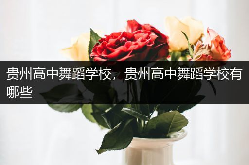 贵州高中舞蹈学校，贵州高中舞蹈学校有哪些