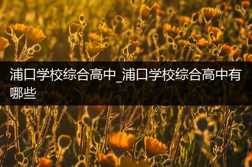 浦口学校综合高中_浦口学校综合高中有哪些
