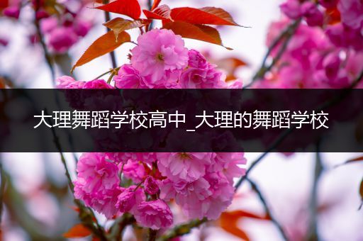 大理舞蹈学校高中_大理的舞蹈学校