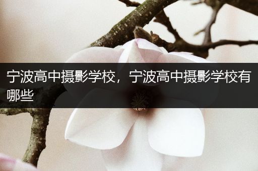 宁波高中摄影学校，宁波高中摄影学校有哪些